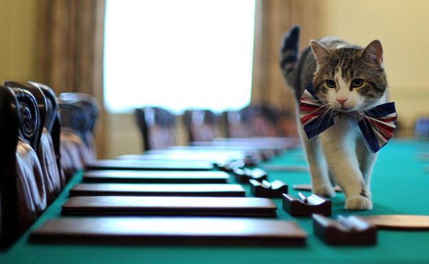 Larry se da un paseíto por la mesa donde se reúnen los ministros.