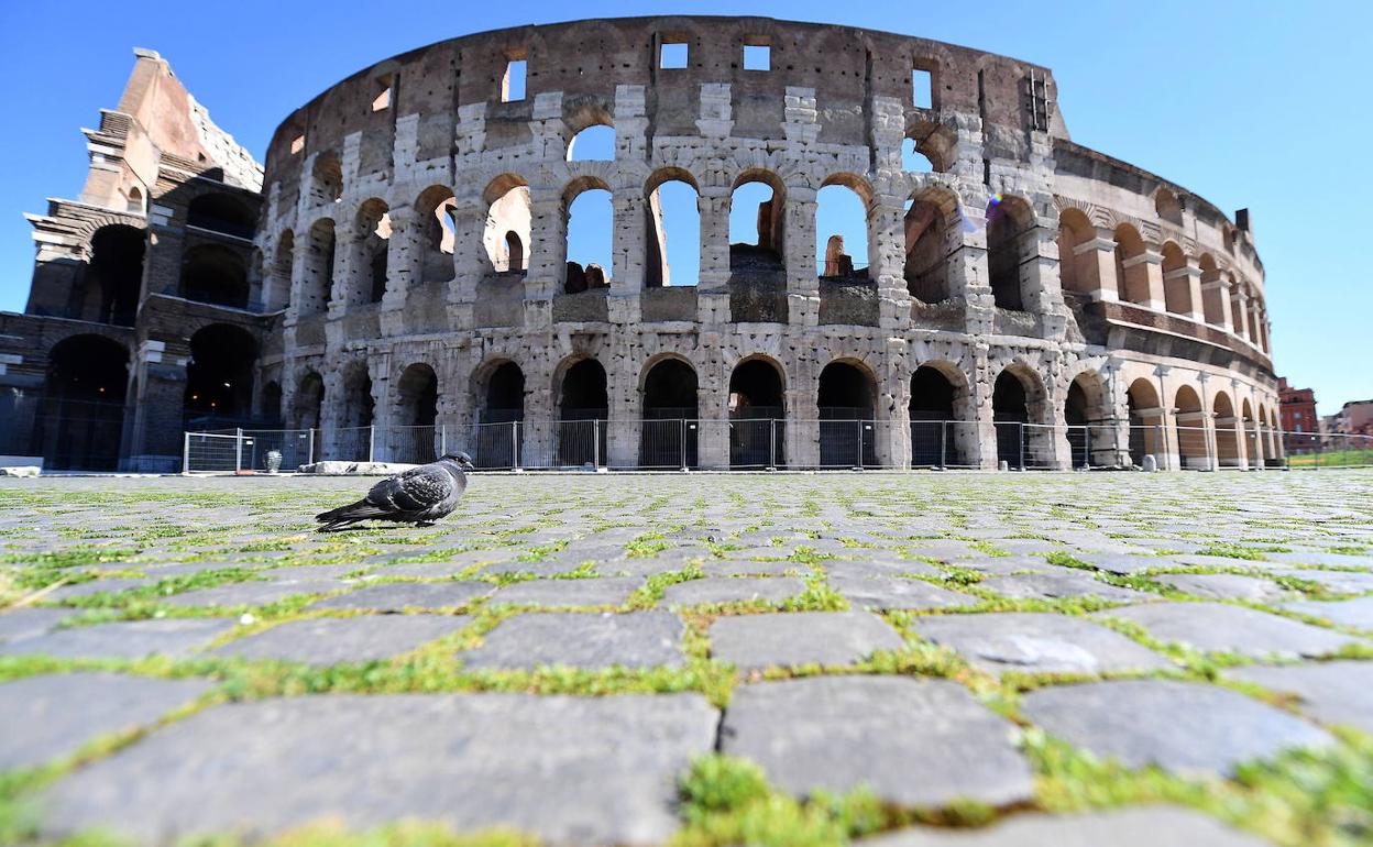 Una paloma picotea en la explanada del Coliseo de Roma, que muestra una insólita imagen sin turistas.