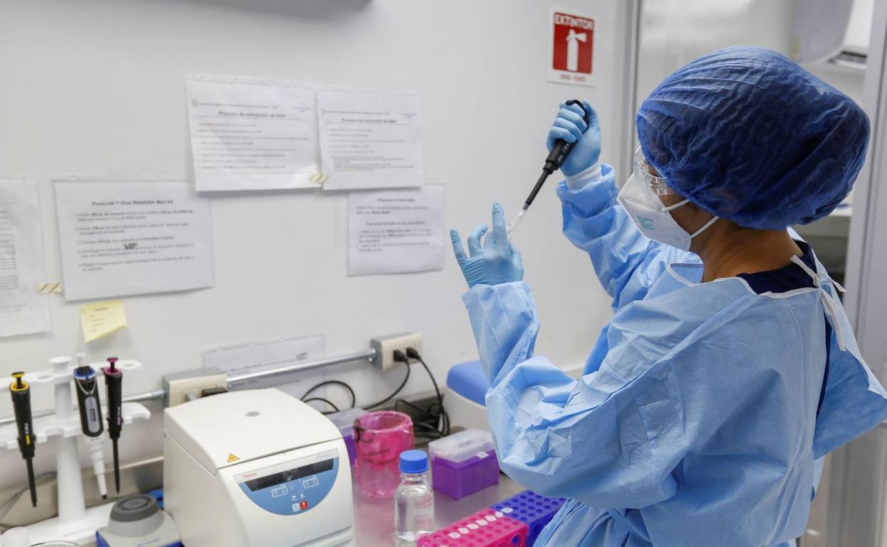 Coronavirus en Extremadura: Badajoz y Cáceres son las localidades que más casos de covid notifican este martes