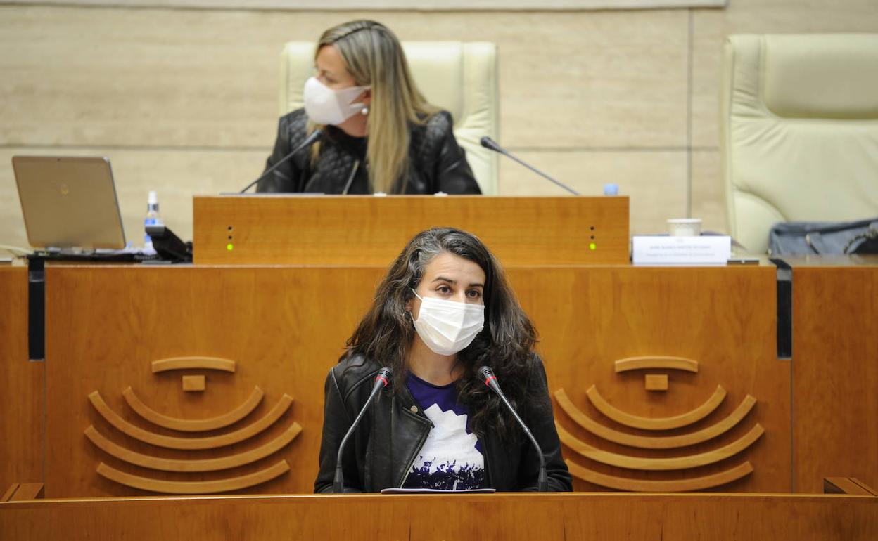 Irene de Miguel, durante su defensa este jueves de la moción contra la mina en la Asamblea. 