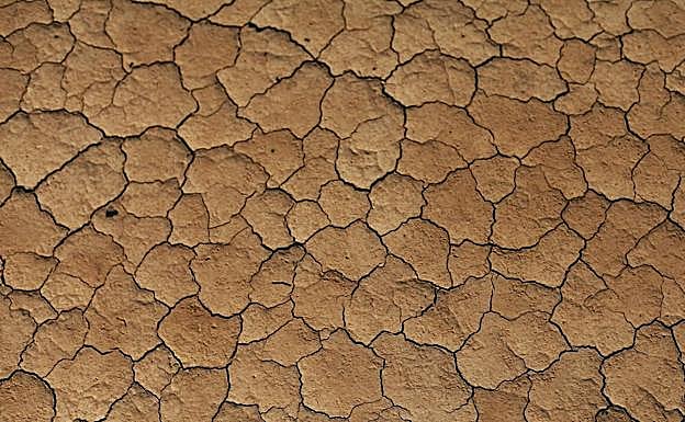 La pérdida de cultivos se triplica en Europa en los últimos cincuenta años