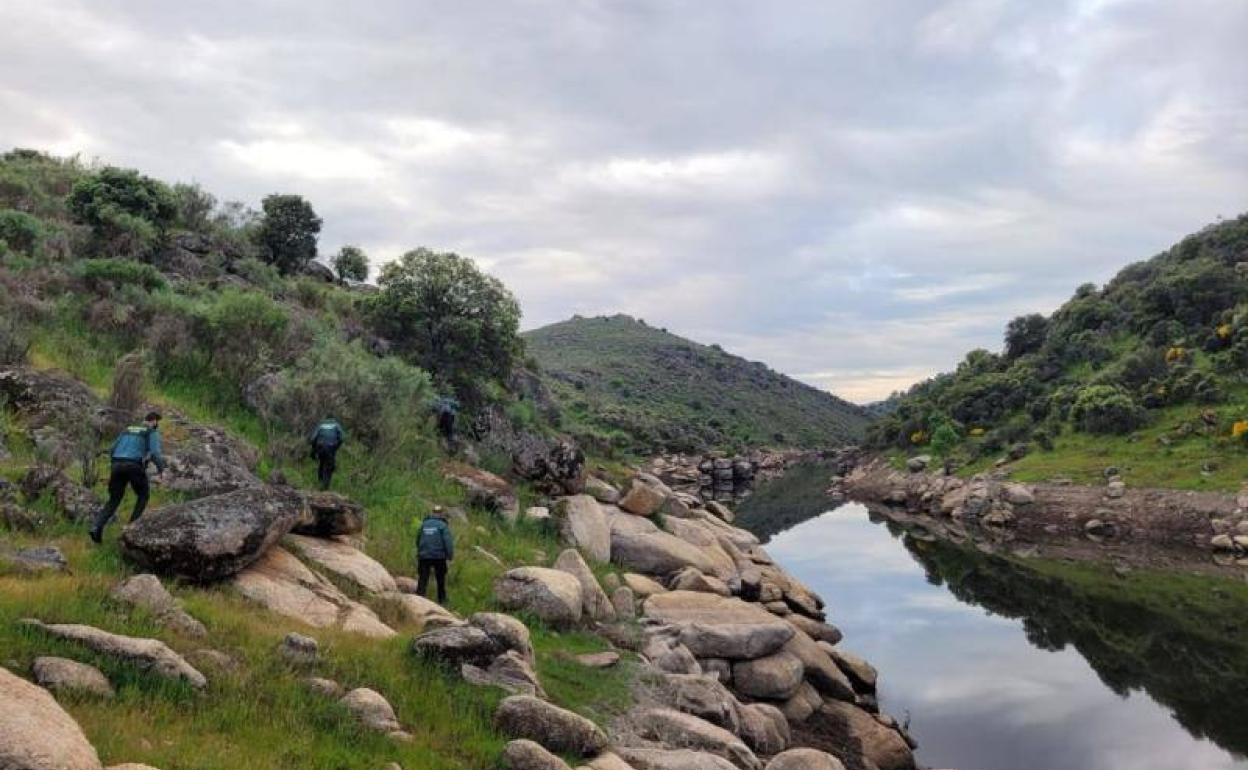 Un momento de la batida realizada por efectivos de la Guardia Civil en la mañana de hoy. 