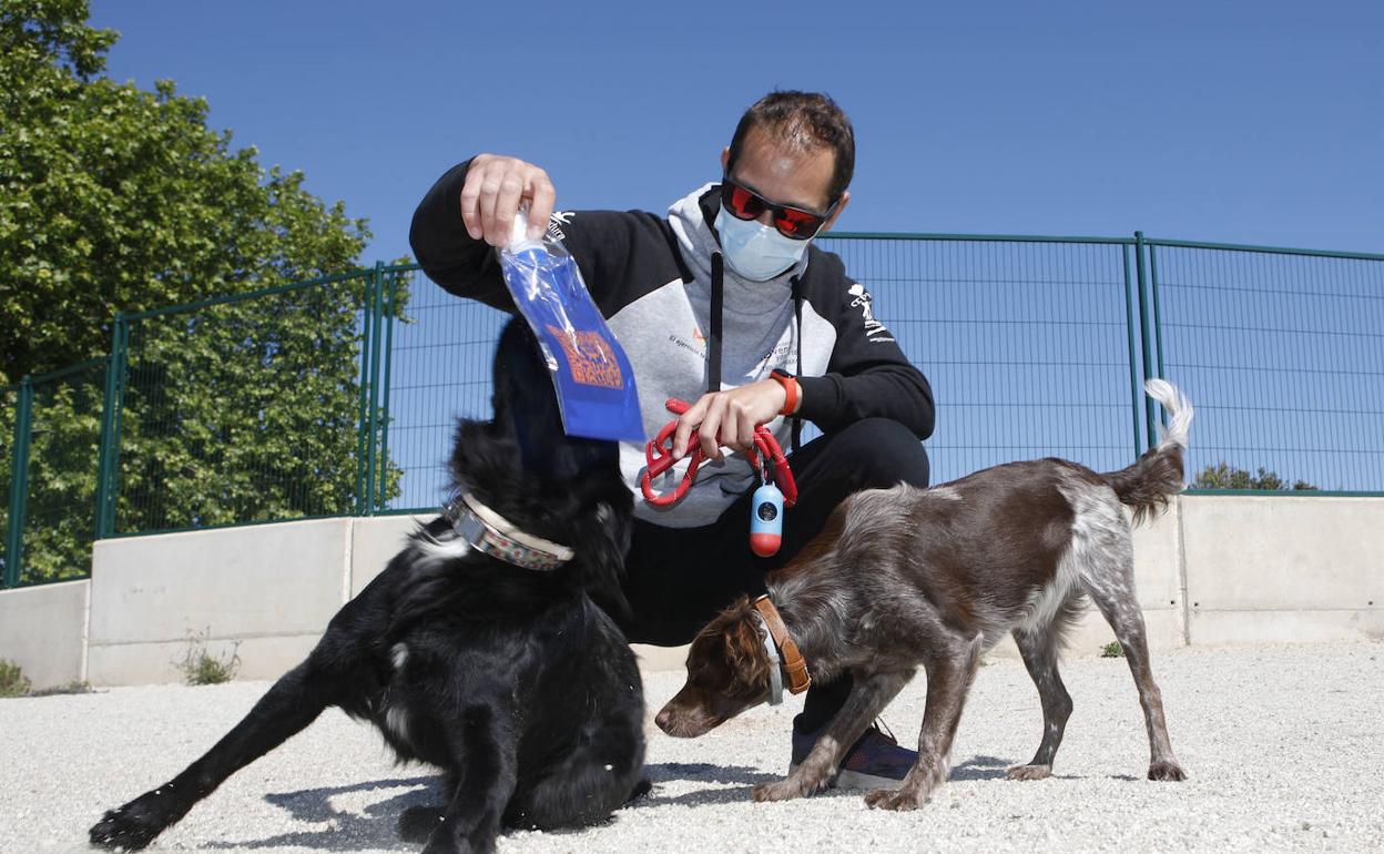 Un hombre juega junto a sus perros con una de las bolsas con líquido antiorina de la campaña. 