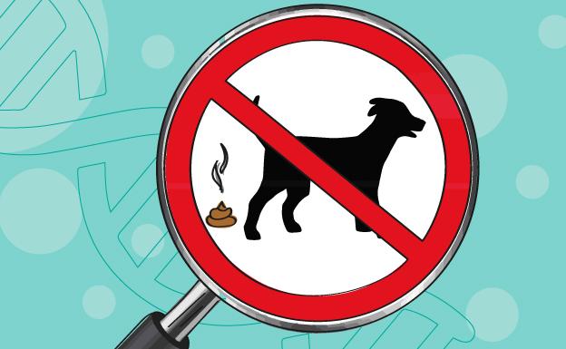 Análisis de ADN a los perros para limpiar de heces las calles