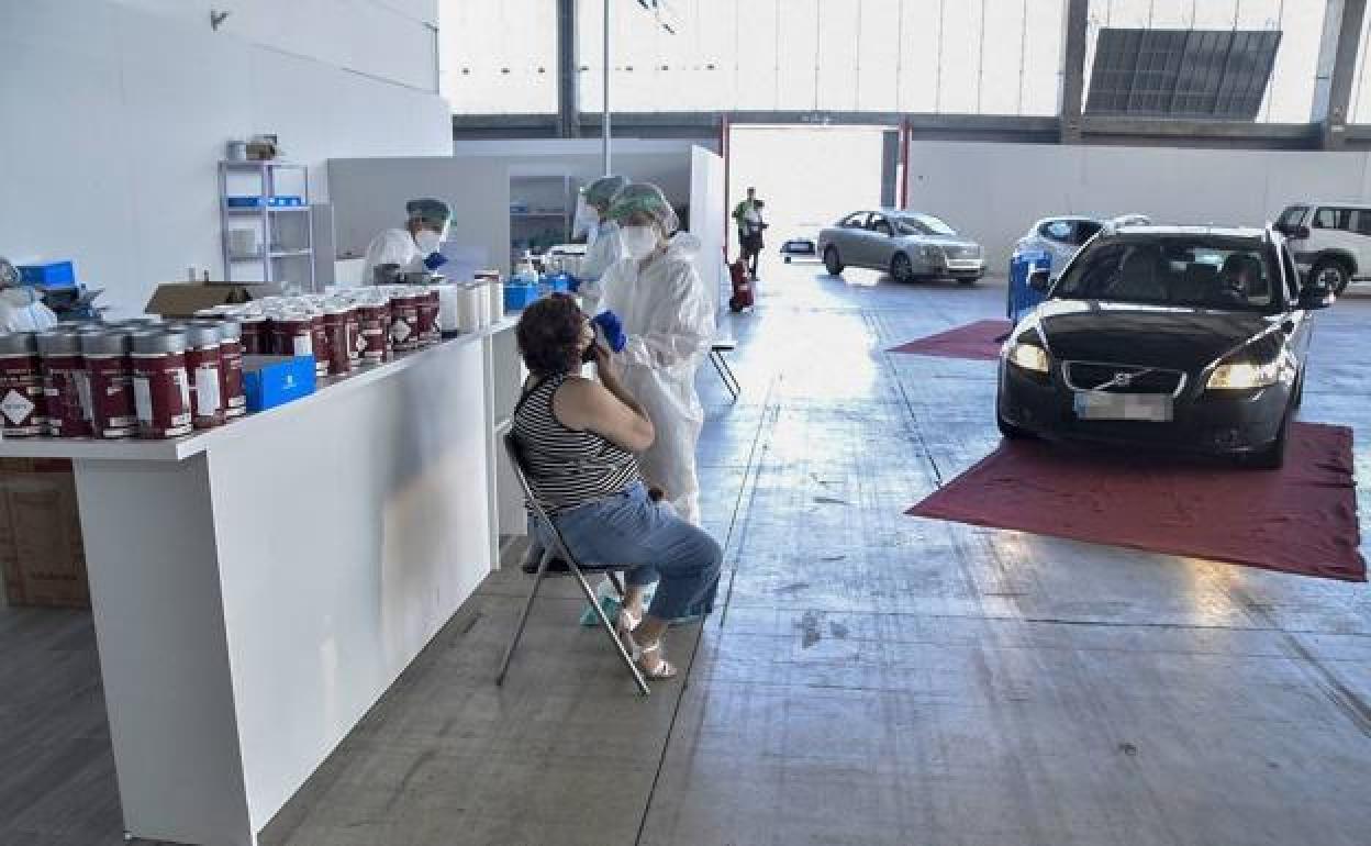 Cribados masivos que se están llevando a cabo en Ifeba (Badajoz). / CASIMIRO MORENO