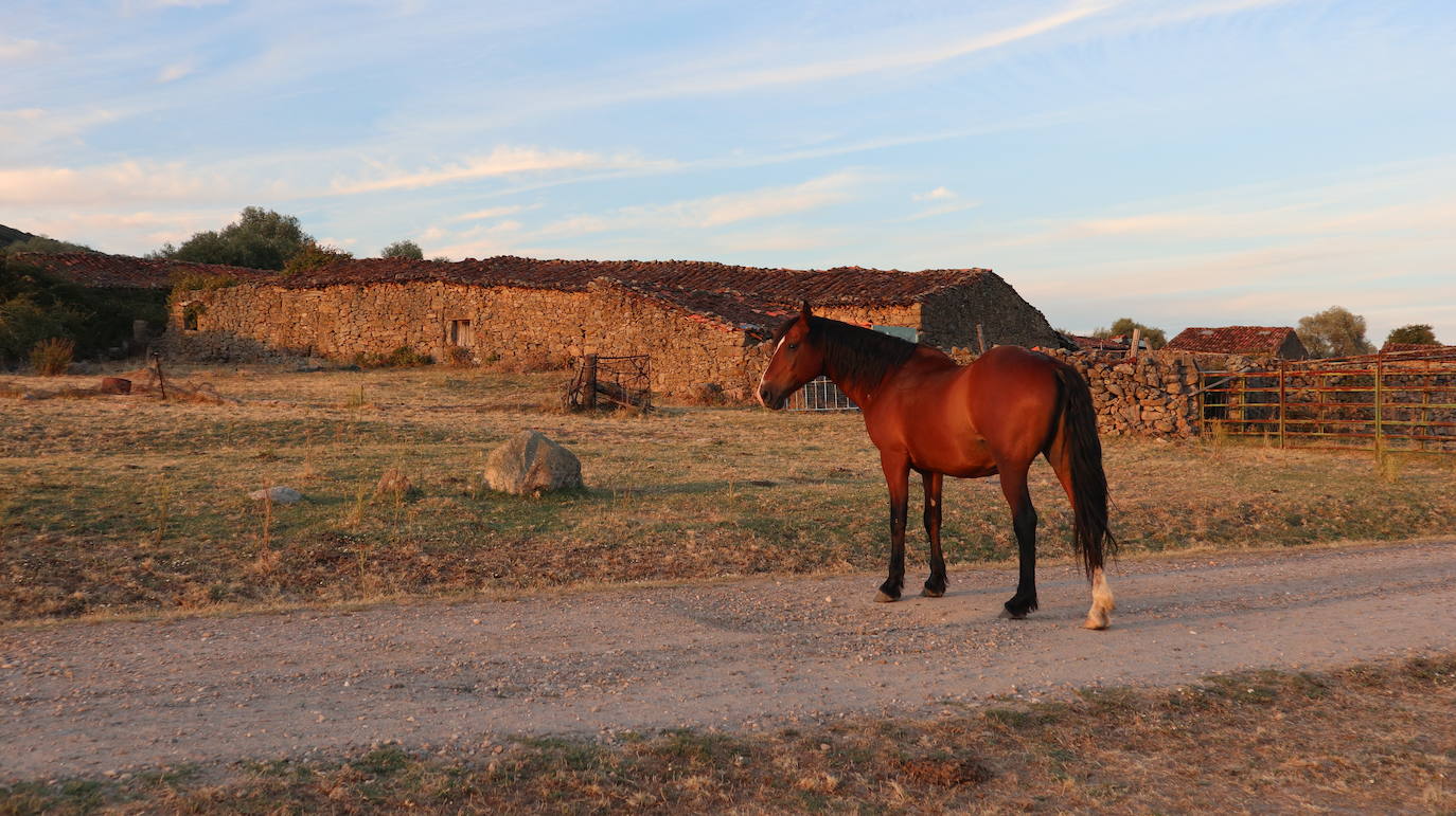 Fotos: Los Pajares, un salto en el tiempo a la vida tradicional