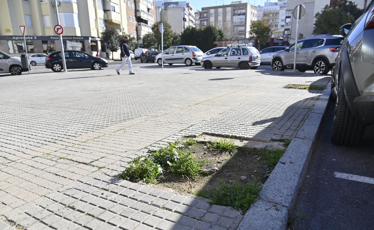 Alcorque en una calle de Badajoz. 