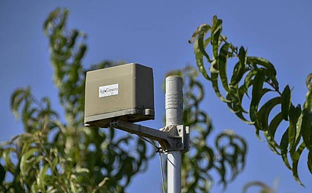 Este pluviómetro conectado envía datos en tiempo real de precipitaciones, horarios e intensidad. 