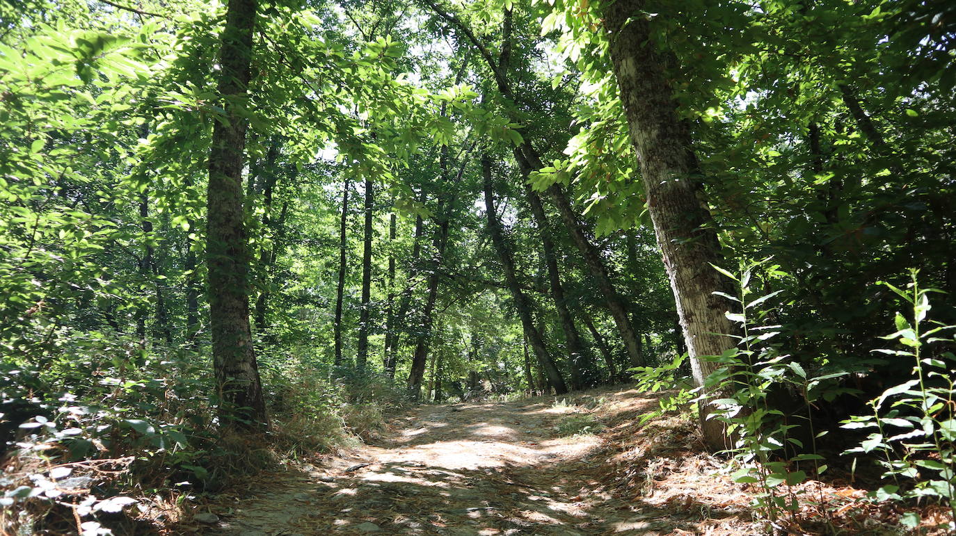 Fotos: Ruta del Castañar de Montánchez