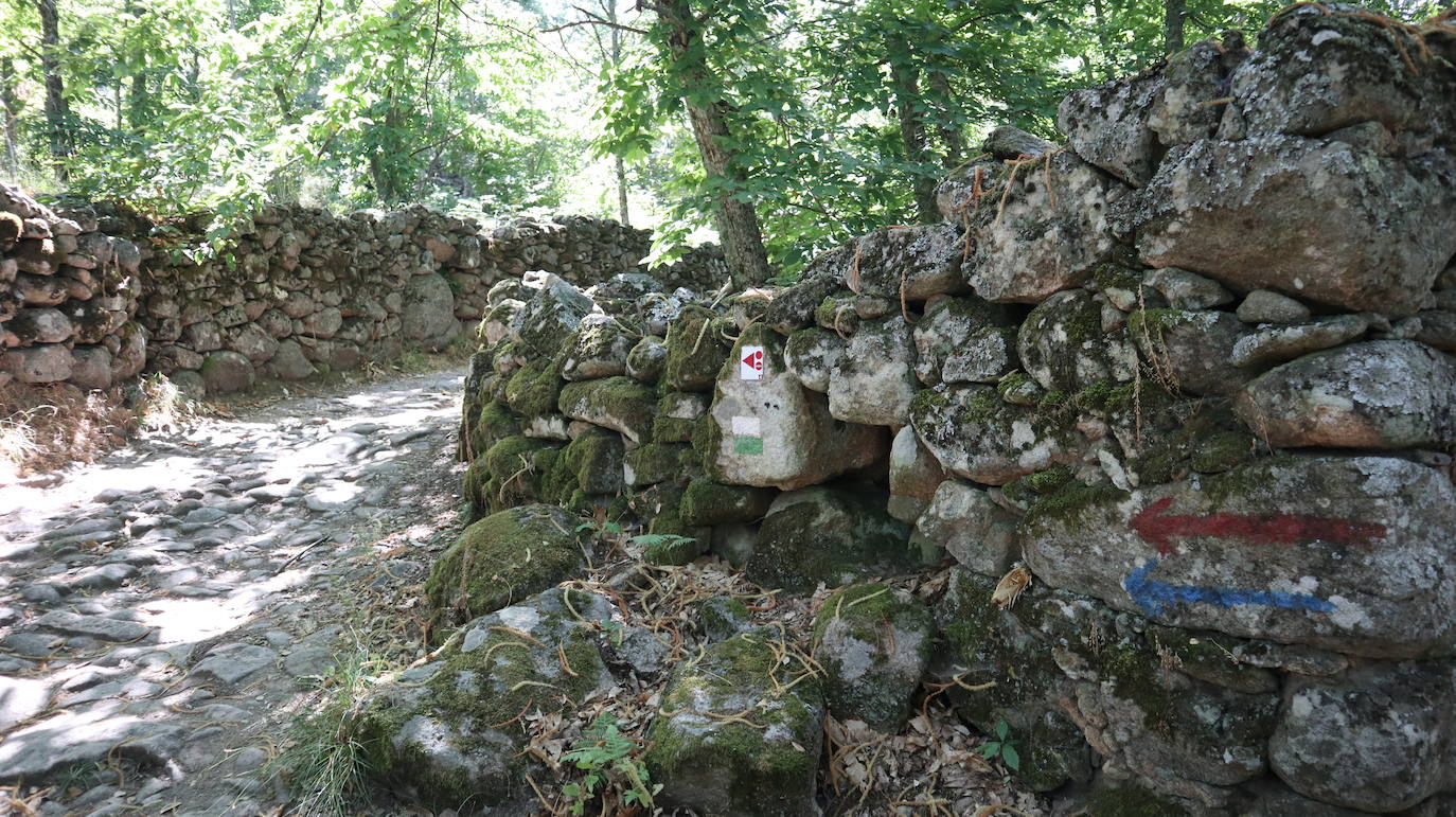 Fotos: Ruta del Castañar de Montánchez