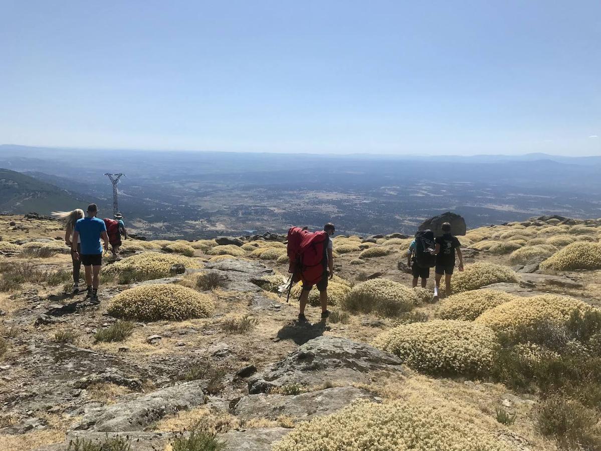 Fotos: Pico Pitolero