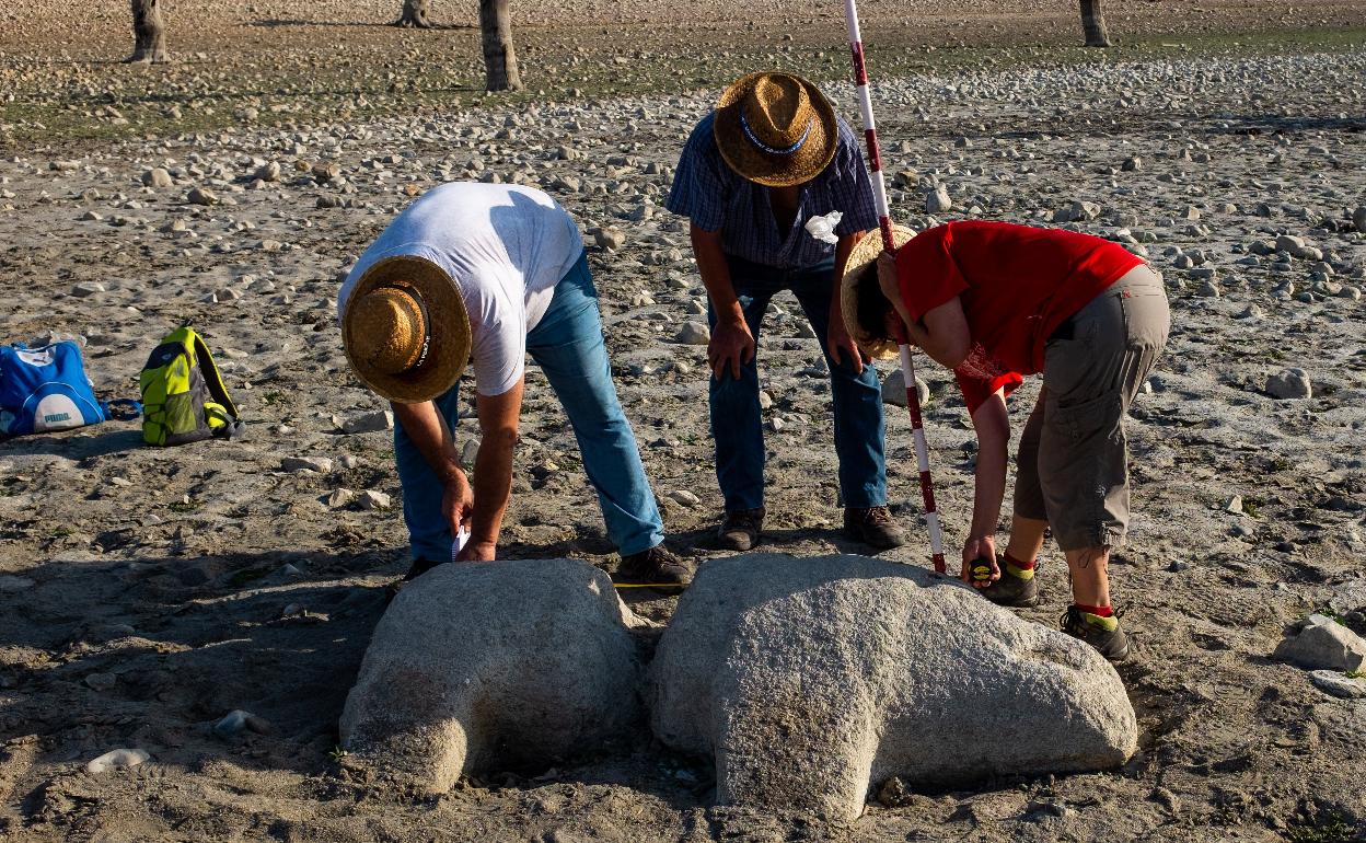 Uno de los verracos hallados. 