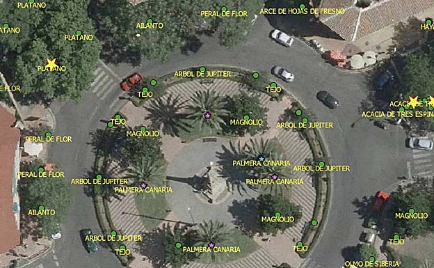 Inventario de árboles en la plaza de Conquistadores (Colón). 