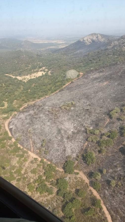 Fotos: Imágenes del incendio originado este miércoles cerca de Alburquerque