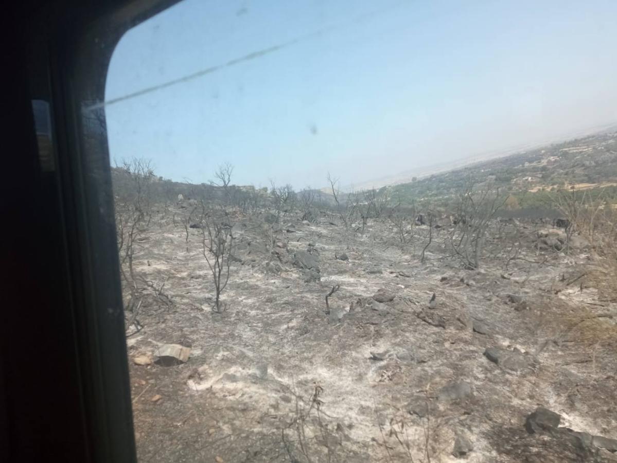 Fotos: Imágenes del incendio originado este miércoles cerca de Alburquerque