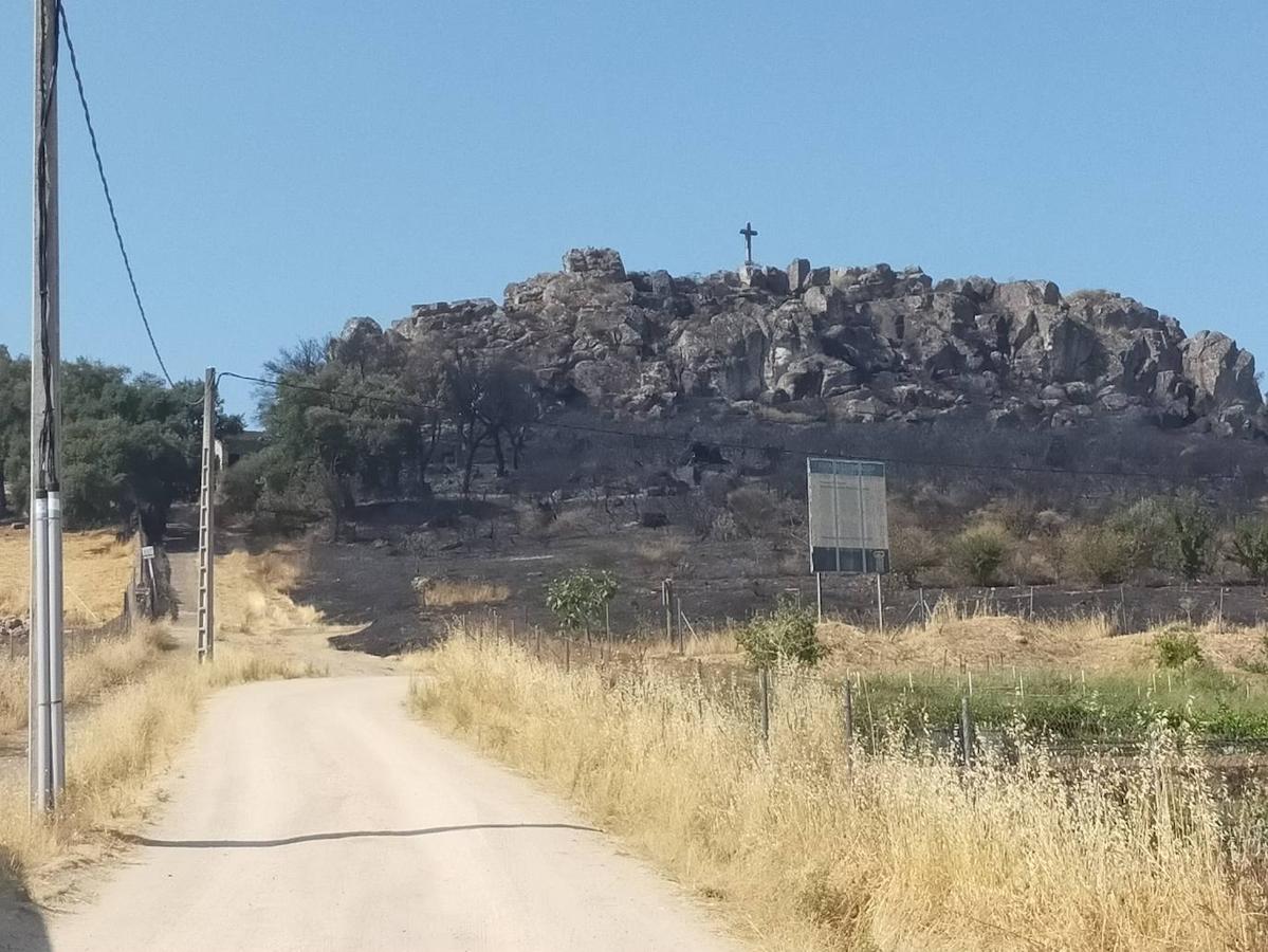 Fotos: Imágenes del incendio originado este miércoles cerca de Alburquerque