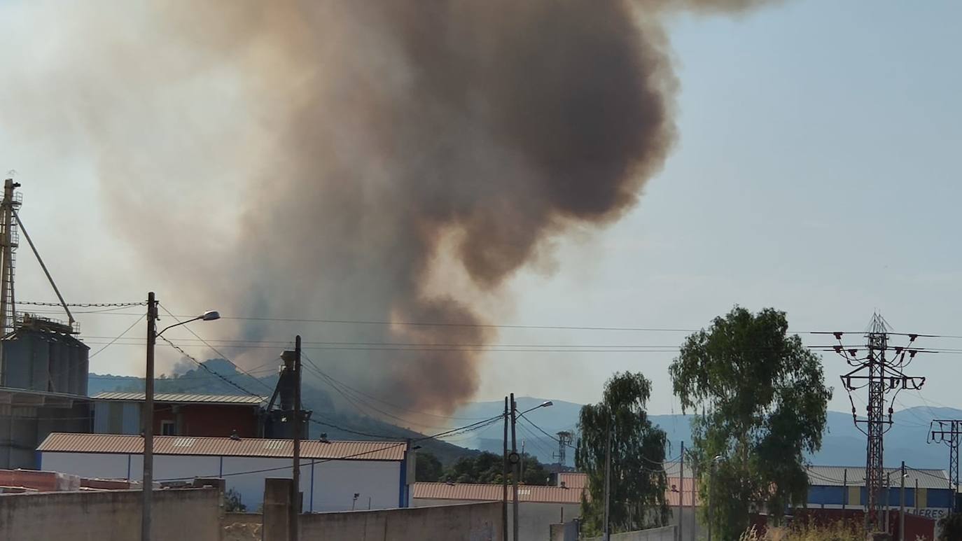 Fotos: Imágenes del incendio originado este miércoles cerca de Alburquerque