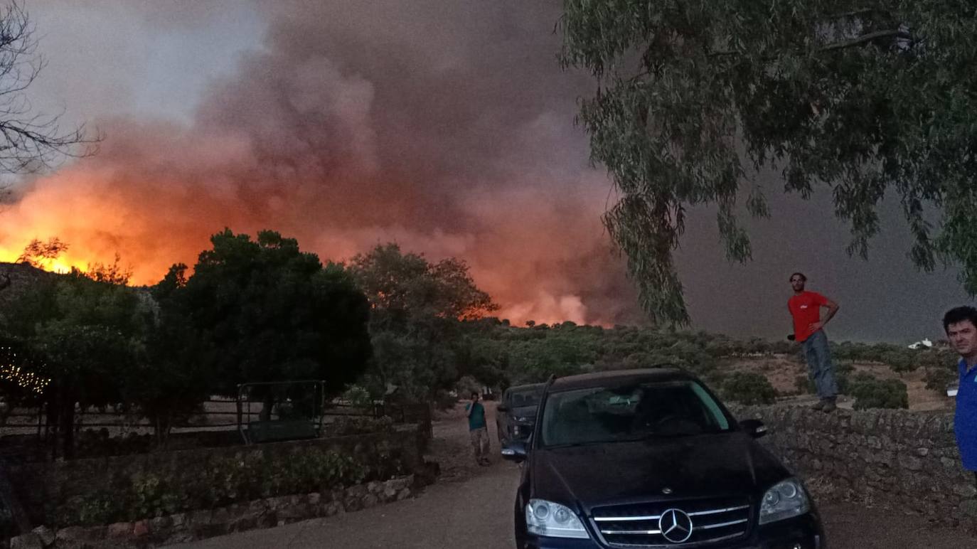 Fotos: Imágenes del incendio originado este miércoles cerca de Alburquerque