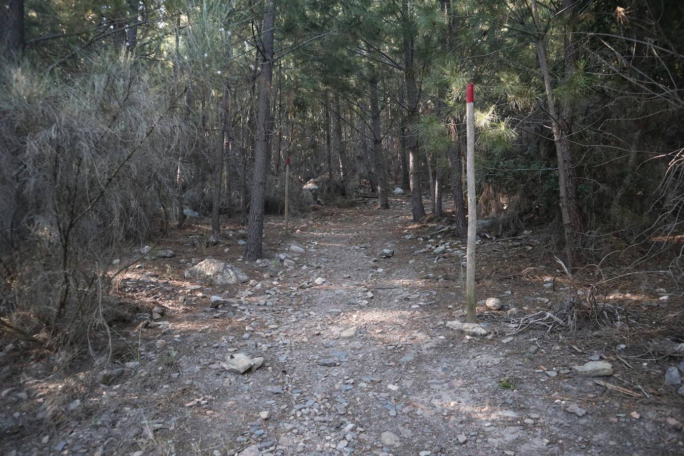 En menos de media hora de paseo se llega a la cueva que alberga estas pinturas rupestres esquemáticas, datadas en entre el 5500 y el 1000 antes de Cristo y cuyas peculiaridades se detallan en un panel explicativo