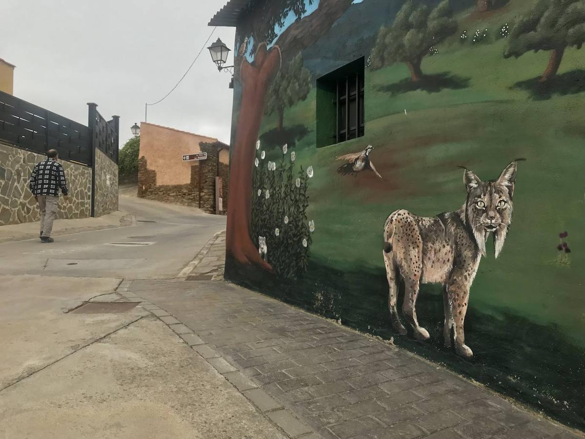 Romangordo tiene 96 obras que son su mayor atractivo turístico, porque convierte el paseo por sus calles es una sucesión de sorpresas. 