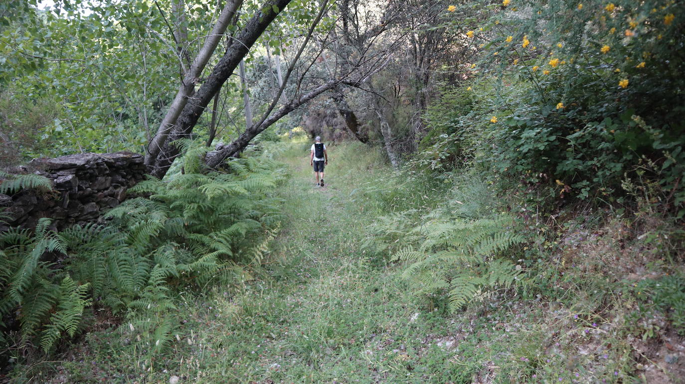 Esta calzada romana no es tan bien conservada como la del puerto de Santa Clara, en la misma comarca y que parte de San Martín de Trevejo. Esta ruta de Robledillo de Gata es igualmente interesante pero mucho más solitaria, de un encanto especial.