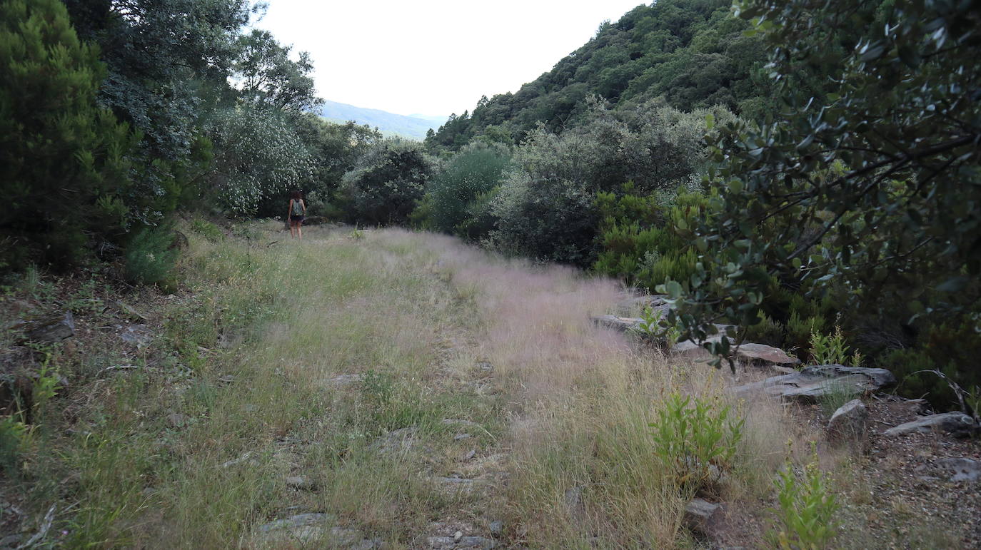 Esta calzada romana no es tan bien conservada como la del puerto de Santa Clara, en la misma comarca y que parte de San Martín de Trevejo. Esta ruta de Robledillo de Gata es igualmente interesante pero mucho más solitaria, de un encanto especial.