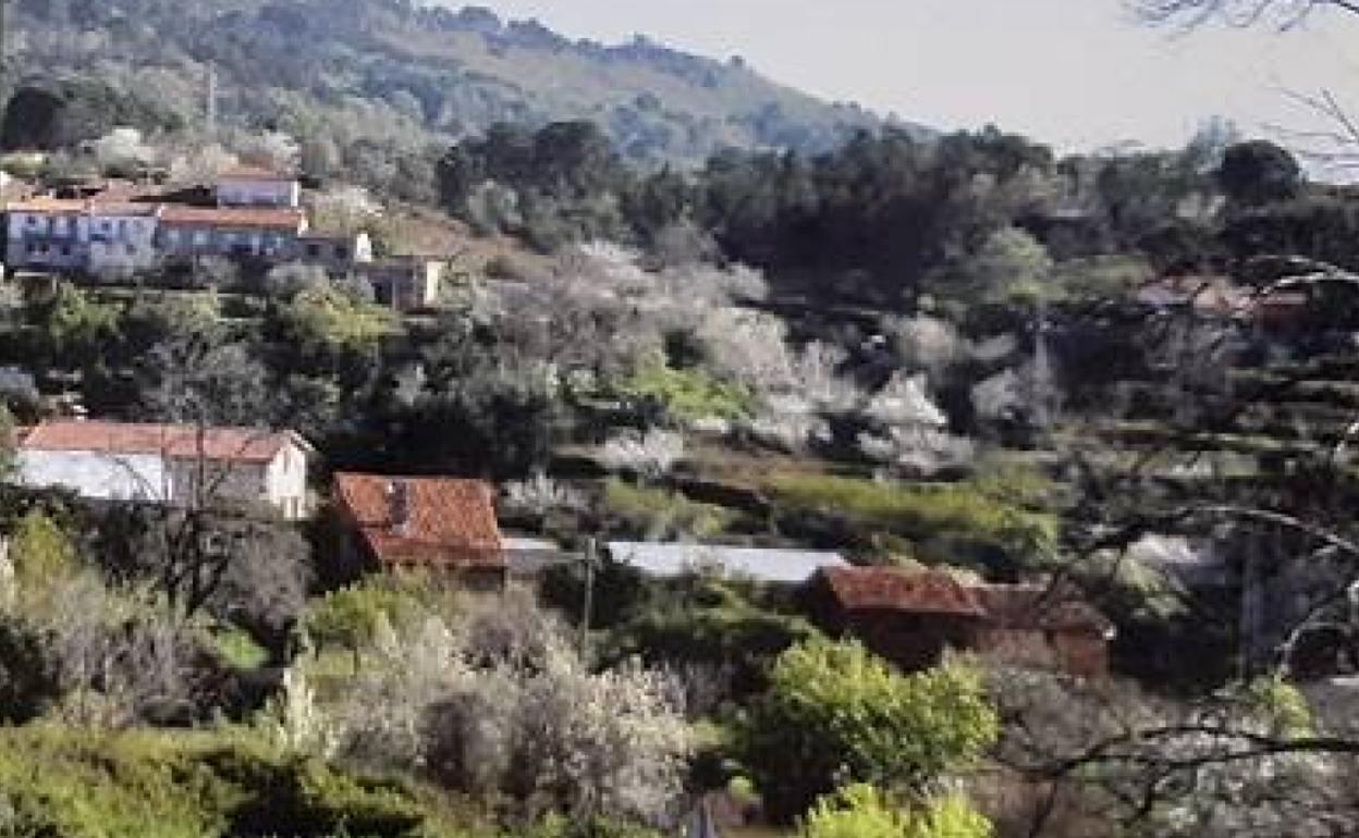 Agricultura reedita las hojas divulgadoras con un número sobre bosques comestibles