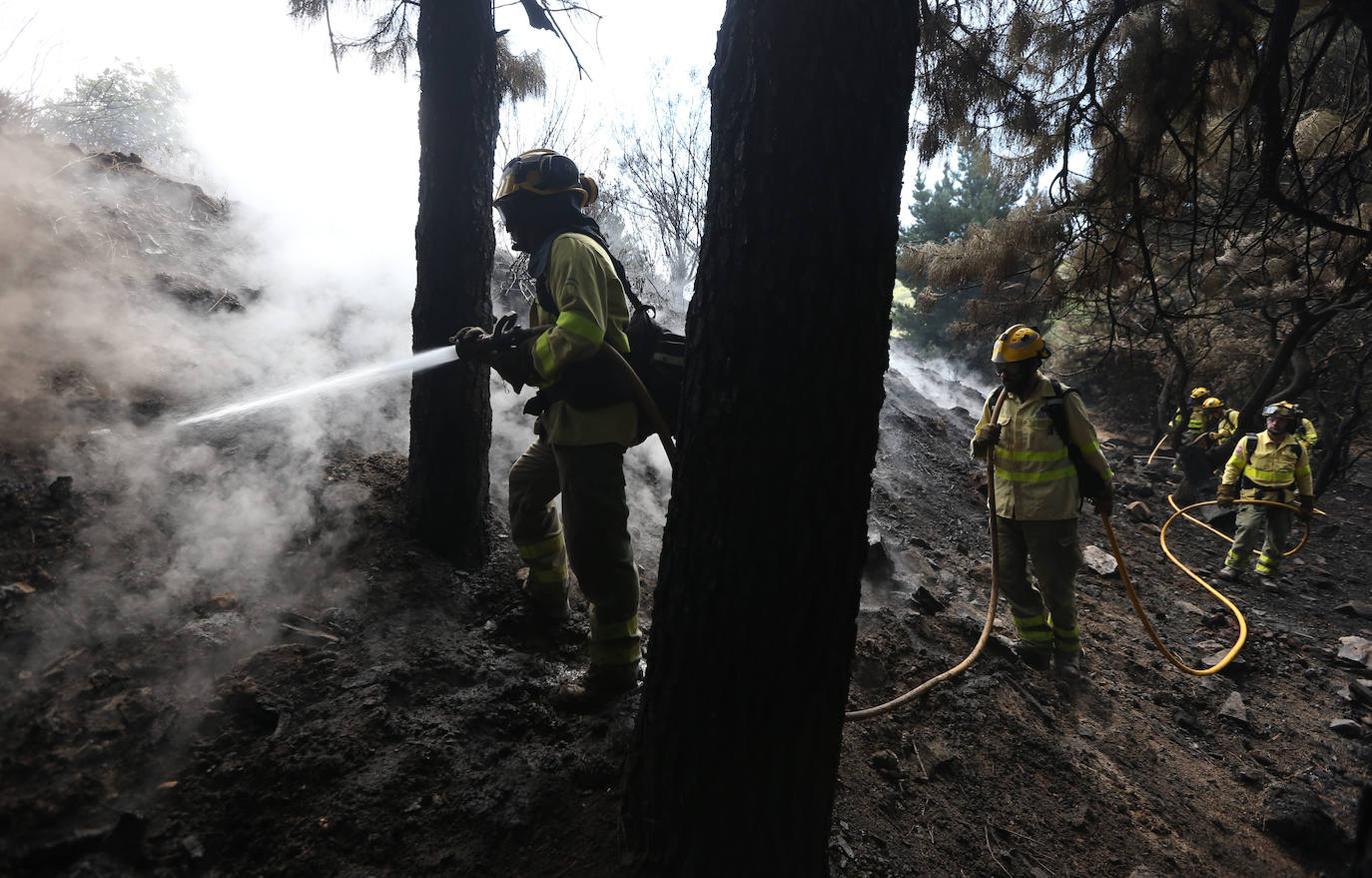 Fotos: Incendio en Sierra Bermeja