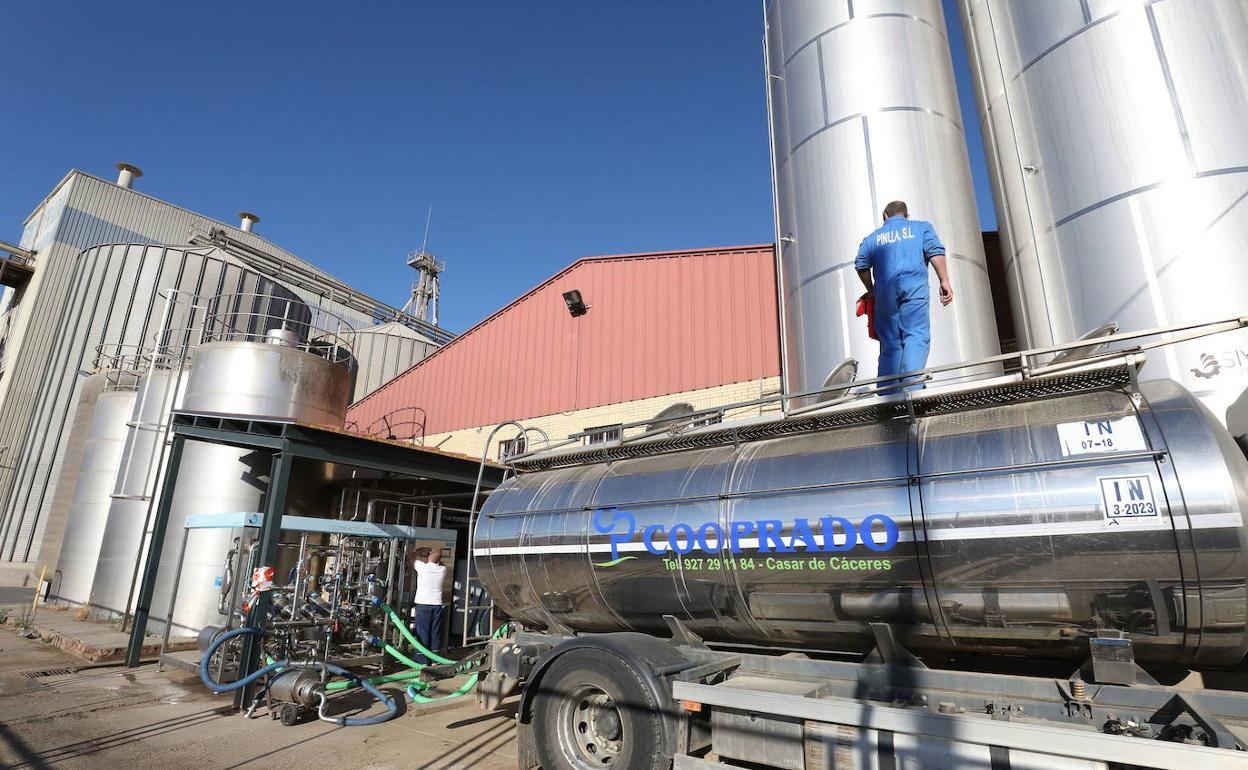 Camión cisterna cargado de leche en la cooperativa Cooprado.