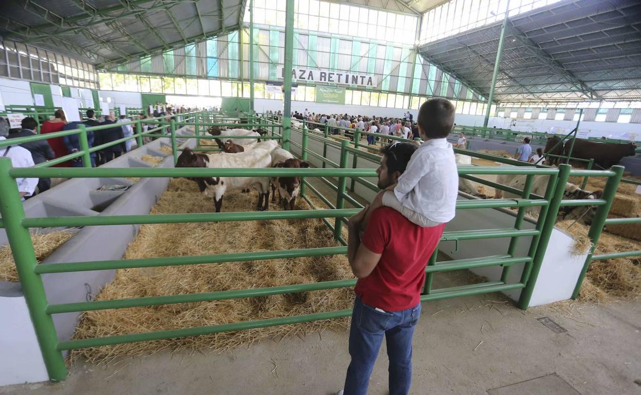 Un padre sostiene a su hijo en la nave de vacuno en la edición de la Feria de Zafra de 2019. 