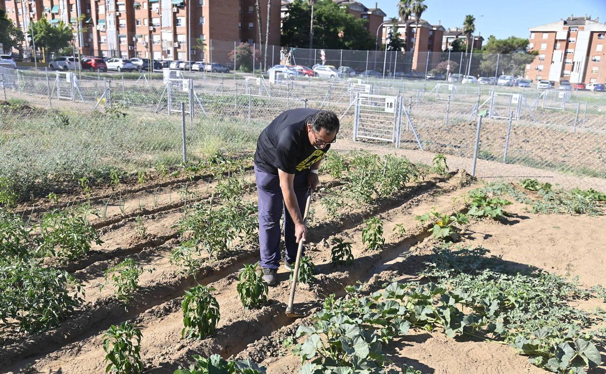 El Ayuntamiento de Badajoz quiere ampliar los huertos urbanos a la Margen Derecha del río Guadiana