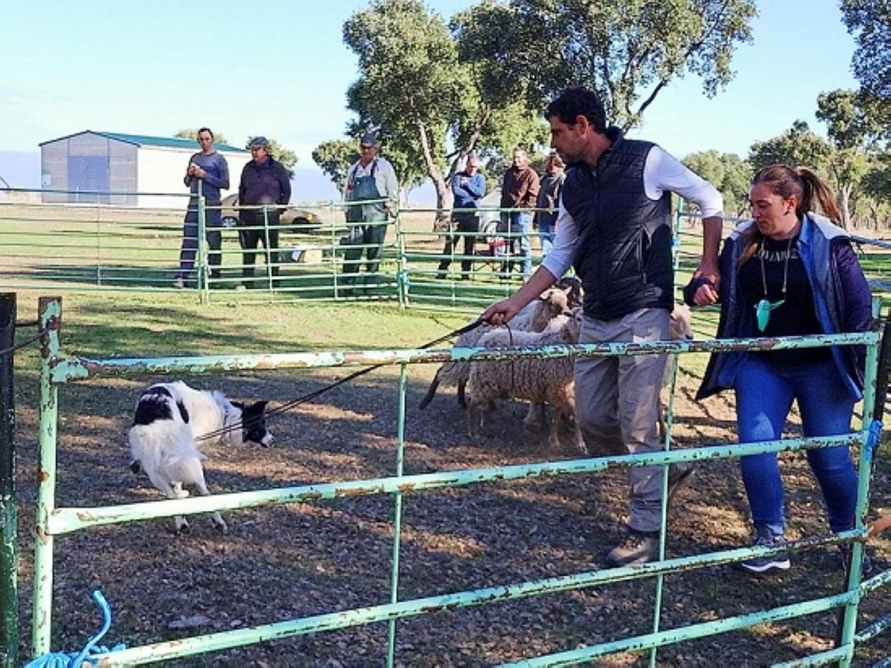 Una alumna practica con su perro durante una de las clases del curso. 