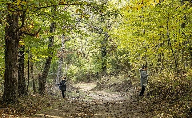 Dos mujeres disfrutan de un bosque del Valle del Ambroz.