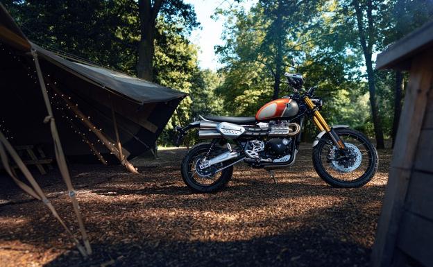 Street Scrambler Gold Line Edition.