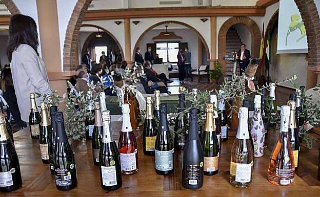 Este año han participado 57 muestras de cava.