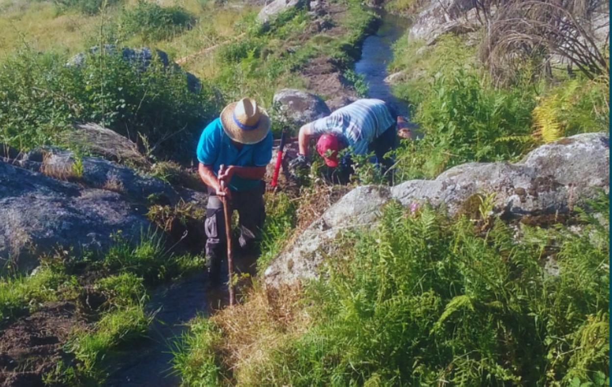 Voluntarios en plena recuperación de acequias. 