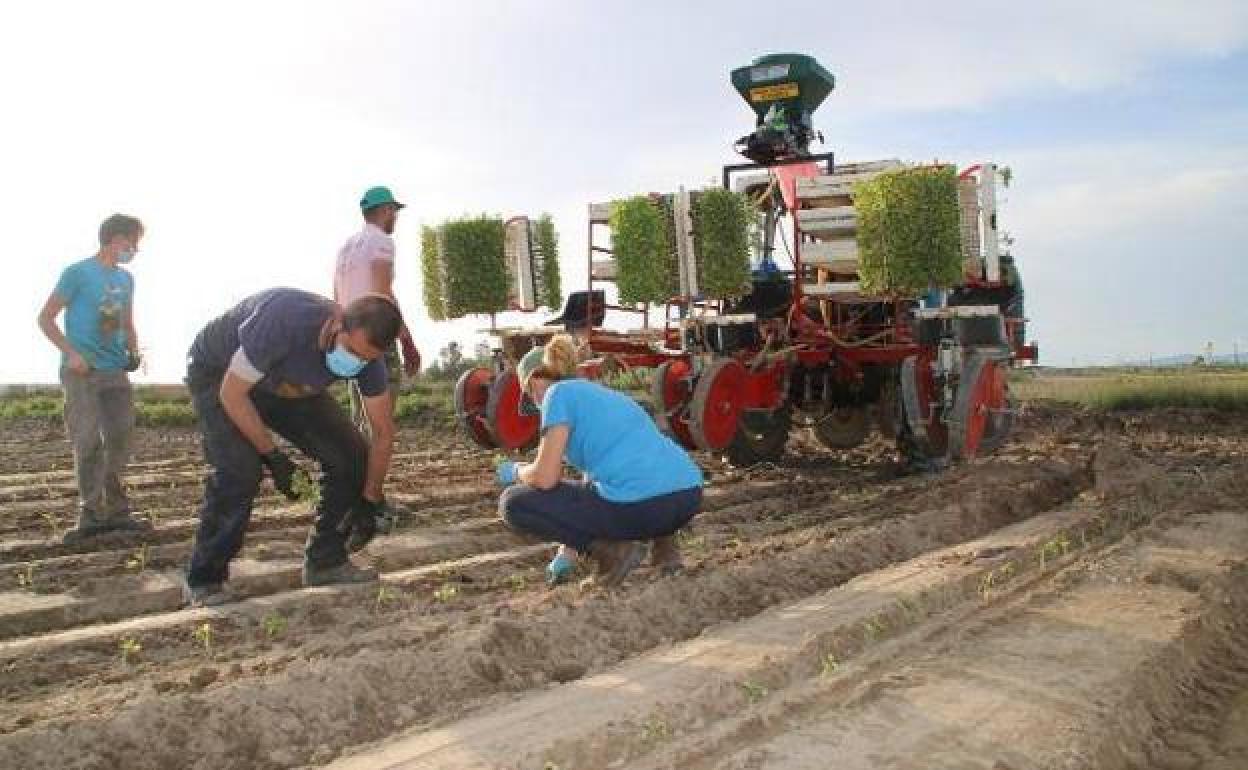 El agro europeo no es clave en el cambio climático, pero influye