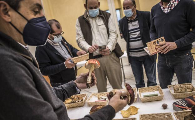 Aporte de material y determinación de especies el lunes pasado en una actividad de Badajoz.