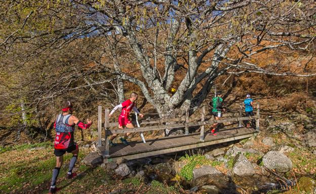 El domingo tiene lugar la Carrera por Montaña Subida a los Campanarios. 