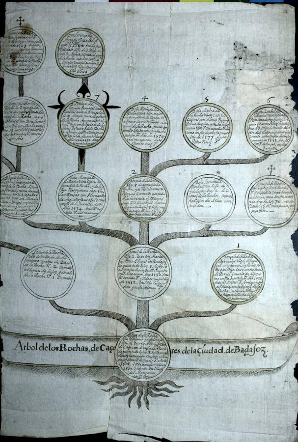 Documento del siglo XVII del árbol genealógico de Los Rochas. Donado por Rafael Rodríguez-Moñino a la Biblioteca Pública de Cáceres.