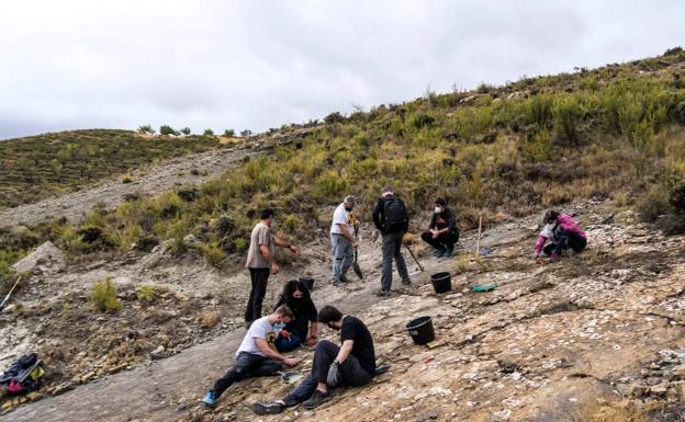 Paleontólogos excavan en el yacimiento de La Torre 6A, en Igea.