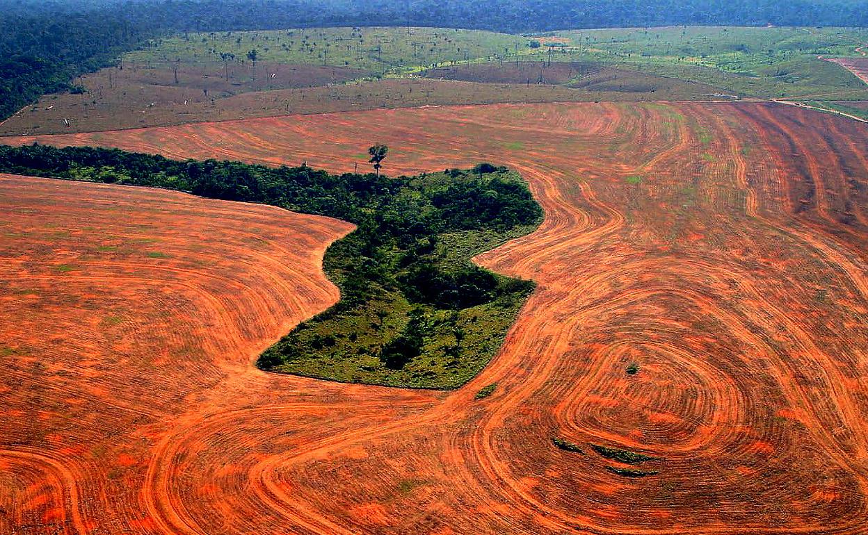 Deforestación de la Amazonia.