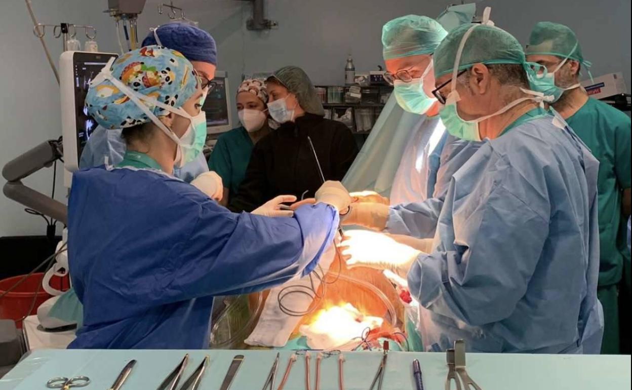 El Universitario de Badajoz realiza por primera vez una técnica para reparar la válvula mitral
