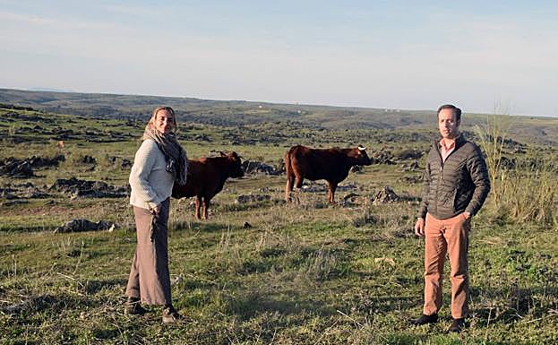 La ganadera Beatriz Pablos, con su hermano, MAxi, con algunos ejemplares de la ganadería. 