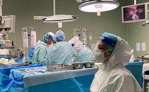 España completa tres décadas como líder en donación de órganos