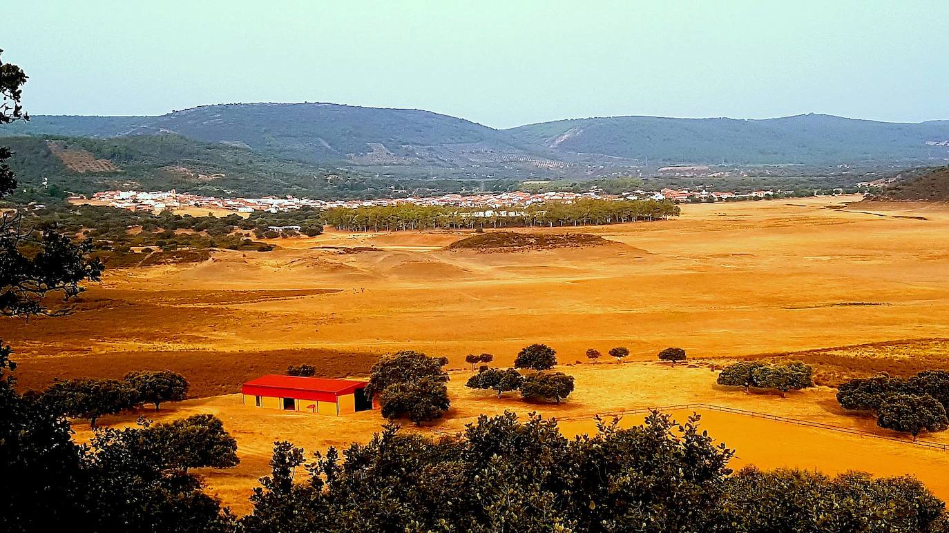 Embalse del Cijara desde el entorno de Helechosa de los Montes