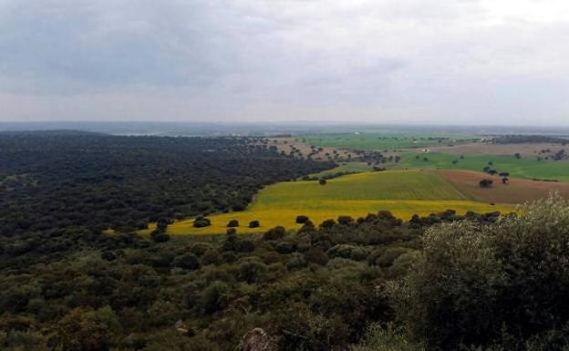 ¿Tiene Extremadura excesiva protección?