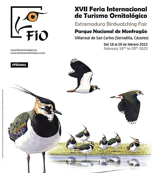 Cartel del artista irlandés Killian Mullarney