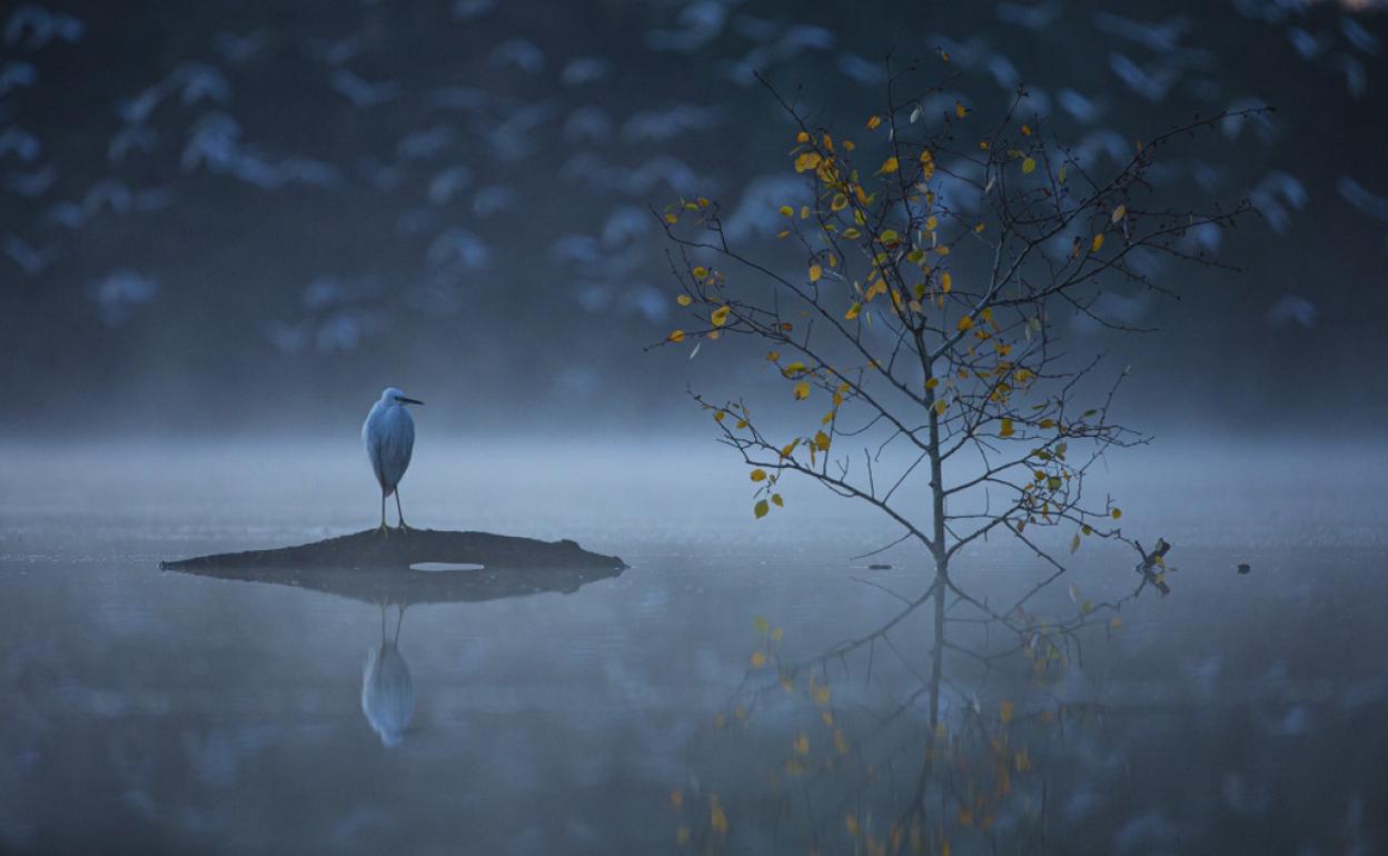 La imagen de Diego Alves Rodrigues titulada 'Temprana soledad' es una de las finlistas del concurso de fotografía