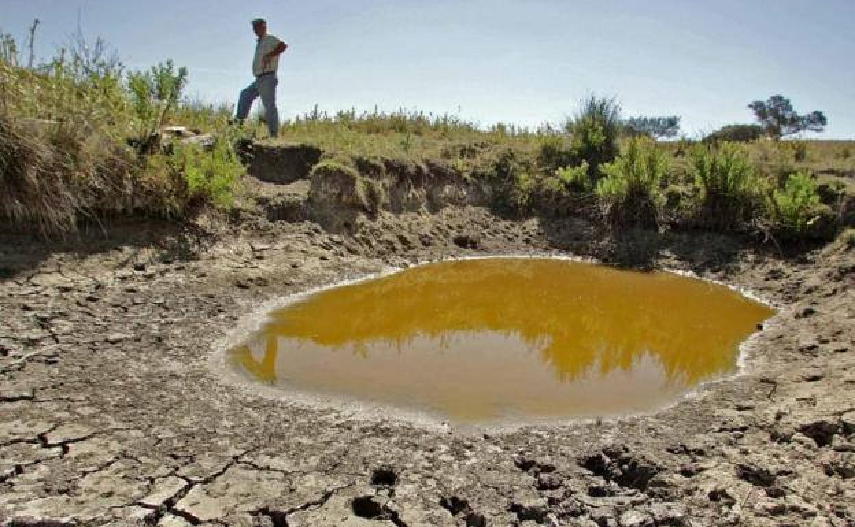 Charca para el ganado casi seca por la falta de lluvia.